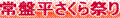 ˎsŗL