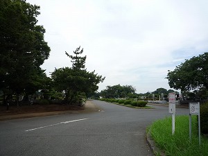 쉀AVA